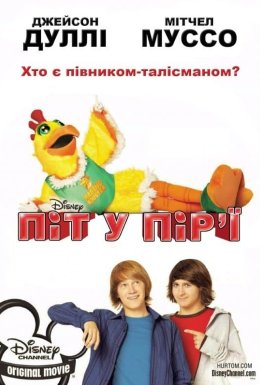 Піт у пір'ї