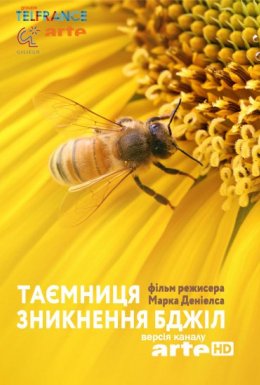 Таємниця зникнення бджіл