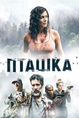 Пташка