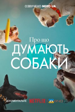 Про що думають собаки